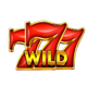 fortune bags wild symbol