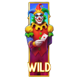 fortune wild wild symbol