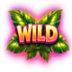 fruit love fever wild symbol