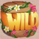 fruit shifter wild symbol