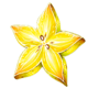 fruit splash wild symbol