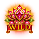 gold of diwali hold and win wild symbol
