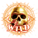 golden grimoire powerpoints wild skull symbol