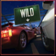 hotline 2 wild symbol