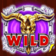 jackaroo jack wild symbol