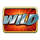 joker vs joker wild symbol