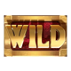 jumanji powerpoints wild symbol