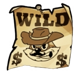 le outlaw wild symbol
