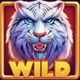 luck of tiger wild symbol
