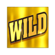 lucky streak 1 wild symbol