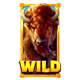majestic wild buffalo wild symbol