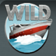 mega fortune powerpoints wild symbol