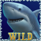 miss ocean wild 1 symbol