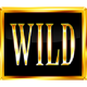 multi machine wild symbol