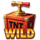 nugget ridge expanding wild symbol