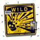 outsourced wild symbol