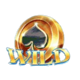 pirates plenty wild 3 symbol