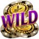 playboy fortunes wild symbol