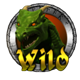 portals and dragons buy bonus symbol wild