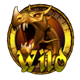 portals and dragons buy bonus symbol wild 2