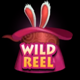 rabbit in the hat wild 1 symbol