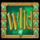 rainbrew bottom wild symbol