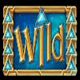 rainbrew top wild symbol