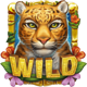 rainforest magic wild symbol