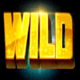 reel talent wild symbol