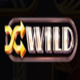 ricky riches randomwild symbol