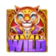 rtg triple tigers wild symbol