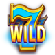 silver coins wild symbol