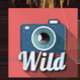 summer holidays wild symbol