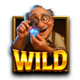 the gem master wild symbol