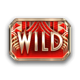 the grand wild symbol