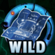 time machine creator wild 1 symbol