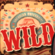 treasure fair wild symbol