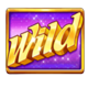 triple money jackpot symbol wild