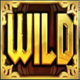 vikings go to olympus wildfight rushingwilds wild symbol