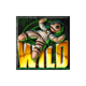 voodoo gold wild symbol