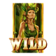 wild elements wild 3 symbol