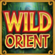 wild orient wild symbol
