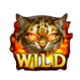 wildcat fury wild symbol