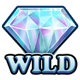 wilds of fortune 1