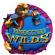 wish upon a jackpot wild 2 symbol