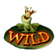 wish upon a jackpot wild symbol