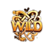 wish upon a leprechaun wild symbol
