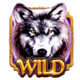 wolf fang nights of magic wild symbol