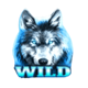 wolf fang snowfall wild symbol