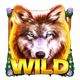 wolf fang spring awakening wild symbol